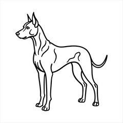 Elegant line drawing of a standing dog
