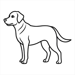 Simple outline drawing of a Labrador retriever dog standing