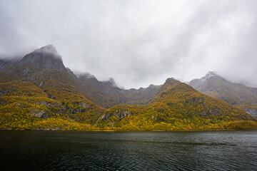 Autumn landscape in Lofoten Islands, Northern Norway, featuring colorful foliage, and a peaceful...