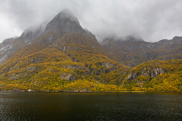 Autumn landscape in Lofoten Islands, Northern Norway, featuring colorful foliage, and a peaceful...