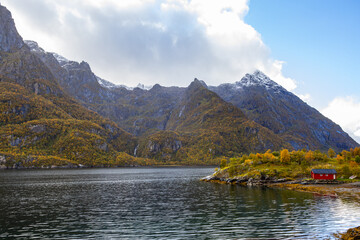 Autumn landscape in Lofoten Islands, Northern Norway, featuring colorful foliage, and a peaceful...