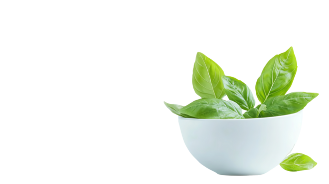 Fresh green basil leaves in a white bowl on a bright background.