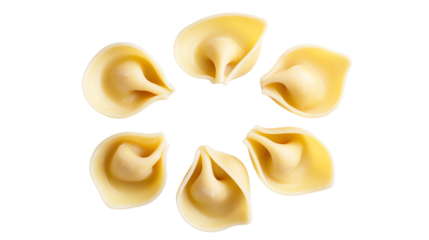 Fresh homemade tortellini arranged in a circular pattern on a white background.