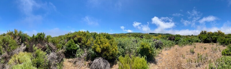 Paul da Serra, ein Gebirgsmoor oder Hochmoor auf Madeira