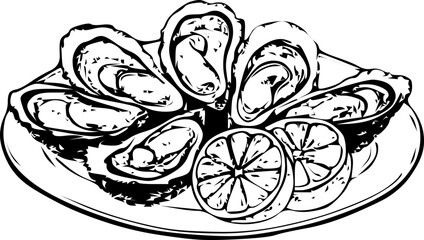 Hand-drawn vector illustration of fresh oysters with lemon slices on a plate. Perfect for seafood restaurants, gourmet food packaging, or culinary blog graphics.