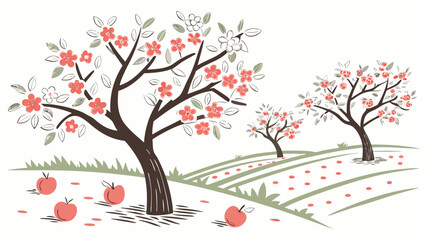 Fototapeta premium Apple trees with blossoms and fallen fruit in an orchard isolated on white
