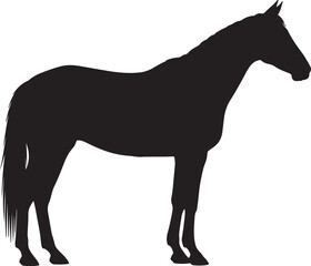 Obraz premium Horse Silhouette Vector Illustration - Black Equine Outline