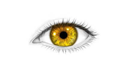 A striking closeup of a human eye with a vibrant yellow iris, isolated on a transparent background