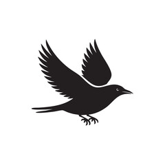 Fototapeta premium Black bird in flight with wings spread flying silhouette