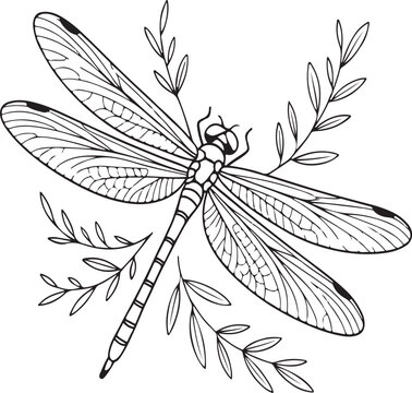 recommend clip art: Hand Drawn Dragonfly Line Art Insect Design