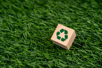 Recycle symbol on wood block sustainable concept green grass background