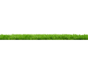 A lush green grass border isolated on a transparent background
