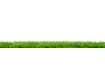 A lush green grass border isolated on a transparent background