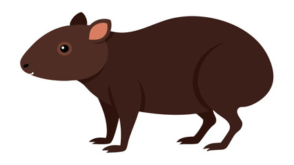 Obraz premium Realistic agouti forest rodent vector artwork