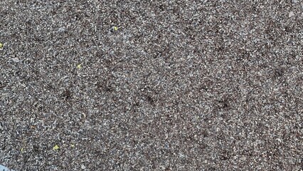 Detailed Texture of Many Small Fallen Leaves on the Ground