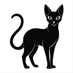 Elegant black cat silhouette standing gracefully with curled tail