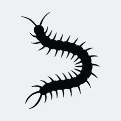 Silhouette centipede crawling insect creepy crawly arthropod vector illustration