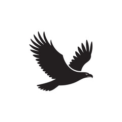 Obraz premium Majestic eagle soaring with outstretched wings bird flight