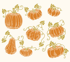 Set of original hand-drawn illustrations of autumn Halloween pumpkins in a minimalist style. for posters, cards, and graphic design.