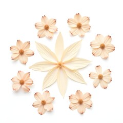 Obraz premium Floral Arrangement Elegant Beige Petals Forming a Circular Design on White Background