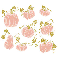 Set of original hand-drawn illustrations of autumn Halloween pumpkins in a minimalist style. for posters, cards, and graphic design.