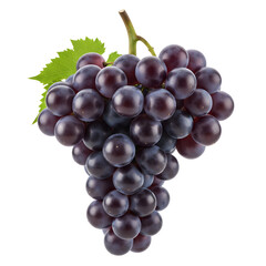 Fototapeta premium Dark grapes on black background studio shot