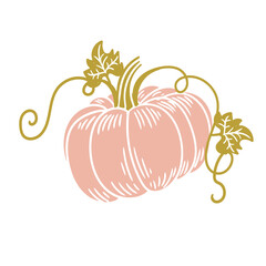 Original hand-drawn illustration of a Halloween autumn pumpkin in a minimalist style. illustrations for posters, cards, and graphic design.