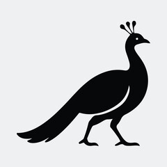Obraz premium Silhouette peacock elegant bird icon standing isolated vector illustration