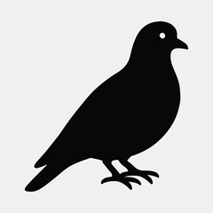 Silhouette pigeon standing bird wildlife animal black shape vector illustration