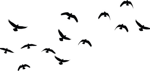 Flock of Flying Birds Silhouettes Spreading Wings in Mid-Air, Representing Freedom, Migration, and Nature's Graceful Movement, Flat Vector Illustration