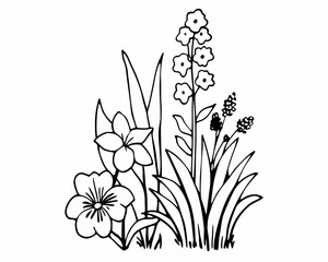 black and white flowers