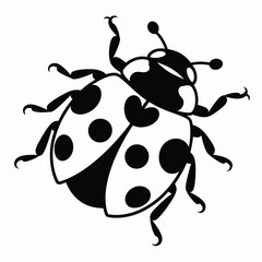 Black and white illustration of a ladybug with spots