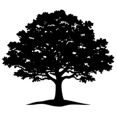 A single oak tree standing at the border between fog and clarity — half shrouded, half clearly visible, symbolizing the unknown or transition on white background 