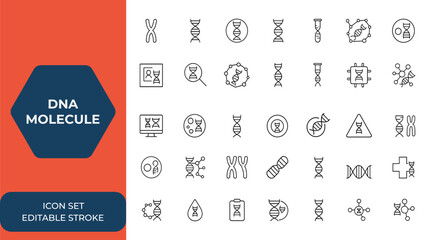 DNA molecule icon set: Chromosome vector illustration with DNA structure symbols, genetic material icons, biology, science, genetics, helix, cell, genome, bioinformatics, medical and more.