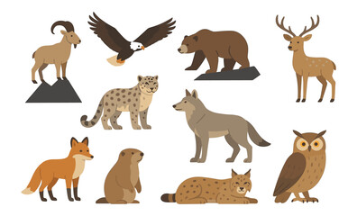 Obraz premium Flat wildlife animals collection: bears, birds, and more in natural habitat theme
