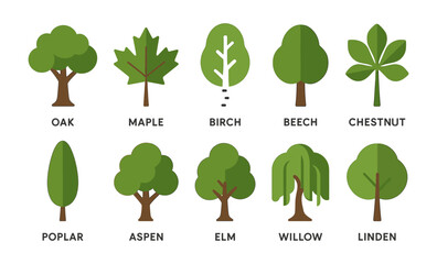 Flat style tree icons featuring various tree species for nature and ecology themes