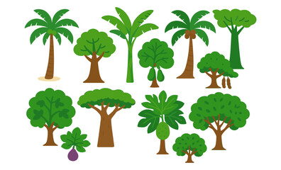 Diverse collection of tropical and deciduous trees in flat design