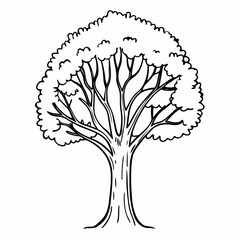 Naklejka premium Illustration of a deciduous tree with a full canopy and a thick trunk in black and white outline style
