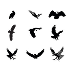 Eagle Silhouette and Head Vector Set