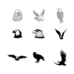 Eagle Silhouette and Head Vector Set