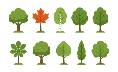 Fototapeta premium Set of various tree icons featuring oak, maple, birch, and more in flat design style