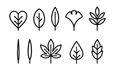 Minimalist black outline leaf set featuring various plant designs