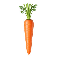 Single carrot isolated against a black backdrop