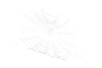 white halloween spider web isolated on white or transparent png