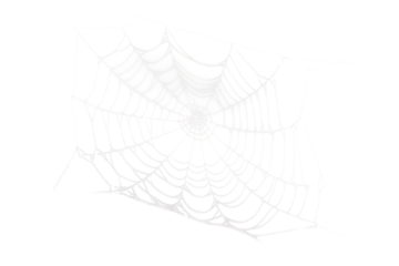 white halloween spider web isolated on white or transparent png