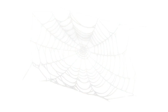 white halloween spider web isolated on white or transparent png