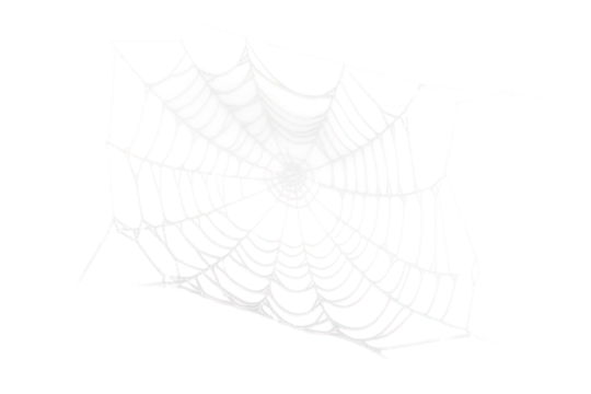 white halloween spider web isolated on white or transparent png