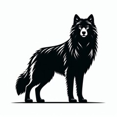 Majestic black wolf standing proudly against white background