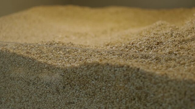 Macro shot of golden sesame seeds forming soft dunes inside a bulk bin. The texture is uniform and smooth, with warm lighting highlighting the delicate and organic nature of the product.