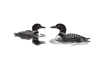 Two loons swimming on a lake with reflections